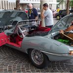 Jaguar-Reparatur 2