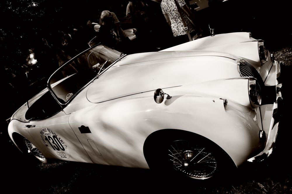 Jaguar Roadster