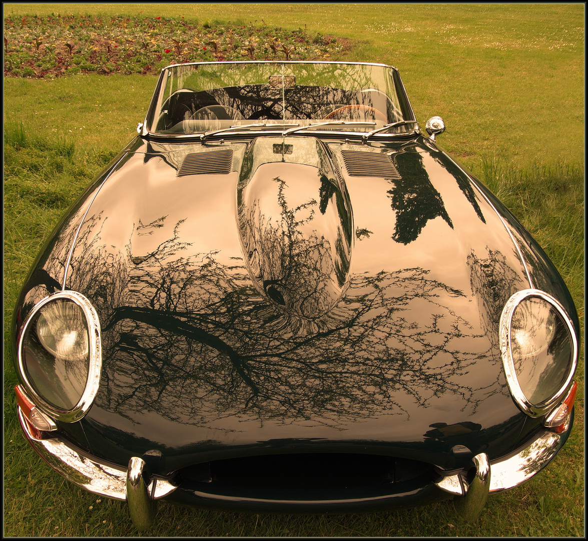 Jaguar Type E