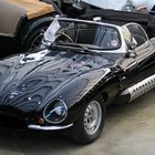 Jaguar was besonderes !