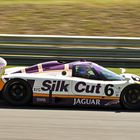 Jaguar XJR8 Part II