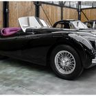 Jaguar XK 120 (1)