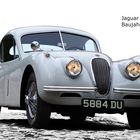 Jaguar XK 120