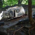 Jaguar XK 120 auf der Nordschleife