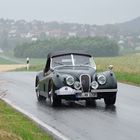 Jaguar XK 120 Baujahr 1954