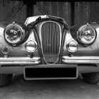 Jaguar XK 120 SE Roadster