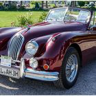 Jaguar XK 140