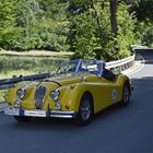 Jaguar XK 140