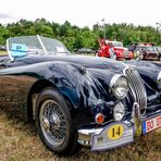 JAGUAR XK 140 Roadster (1)