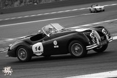 Jaguar XK 140 @ Spa Francorchamps