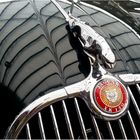 Jaguar XK 150