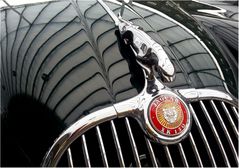 Jaguar XK 150