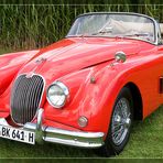 Jaguar XK 150