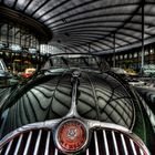 Jaguar XK im Meilenwerk - EXTREME -