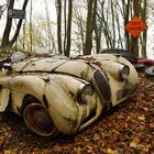 Jaguar XK120 im Autoskulpturenpark Erkarath