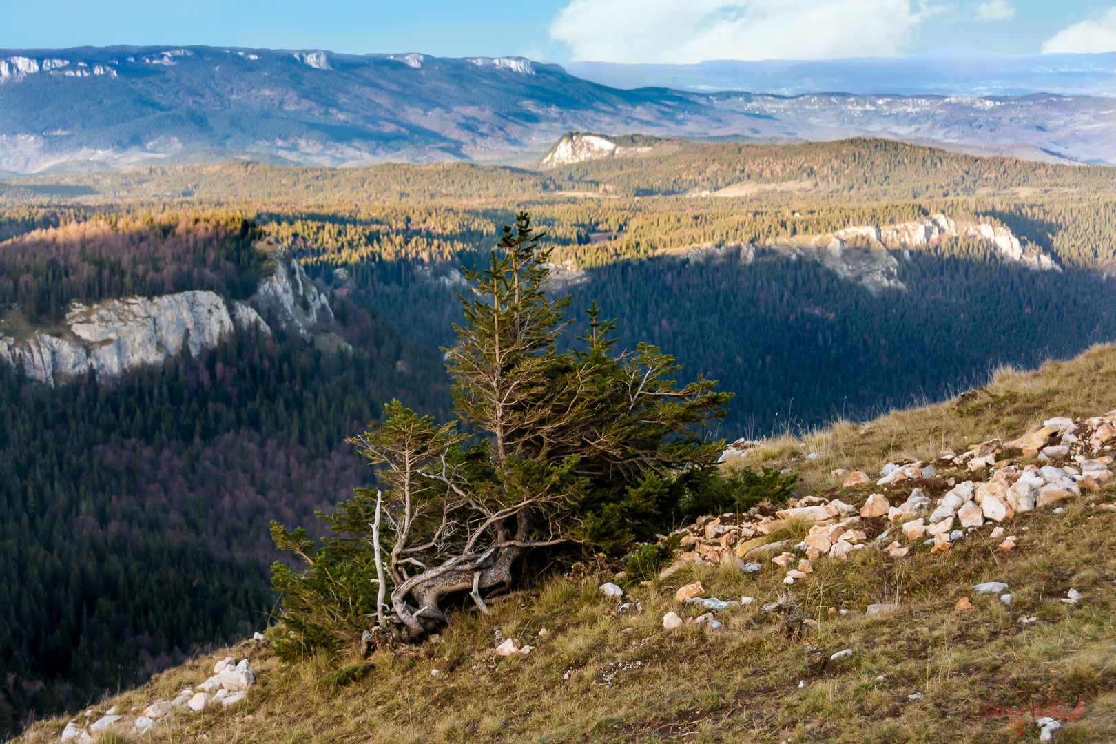 Jahorina 2 / BA