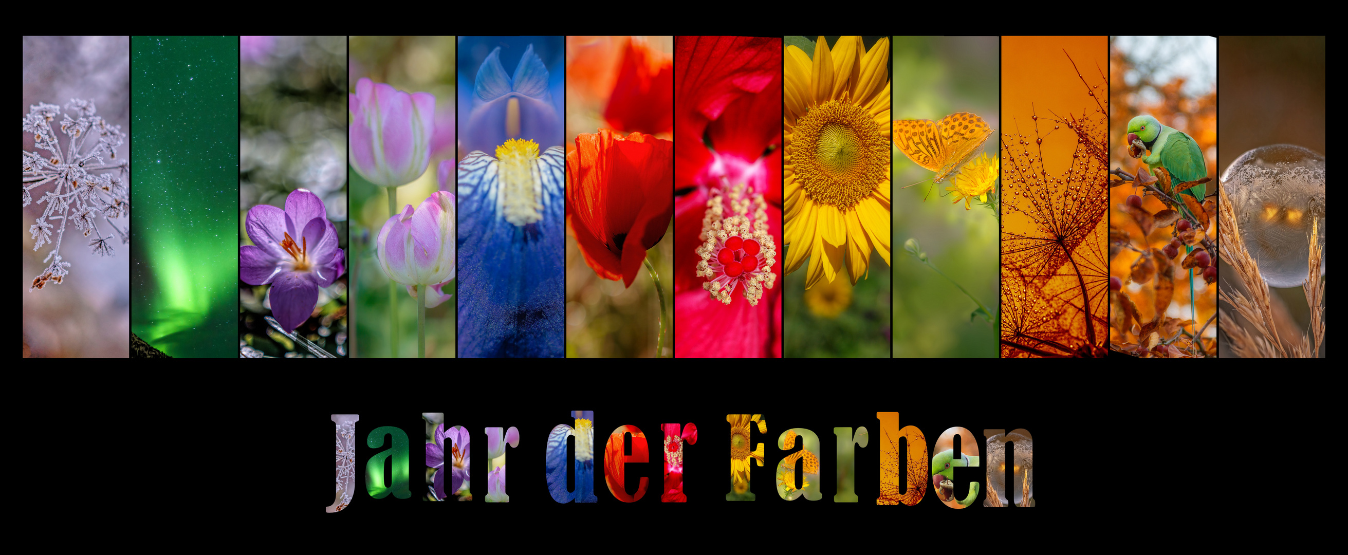 Jahr der Farben