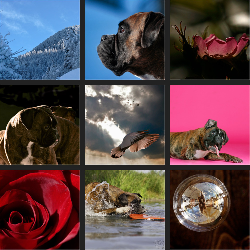 jahres rückblick Foto & Bild  karten und kalender, neujahrswünsche 