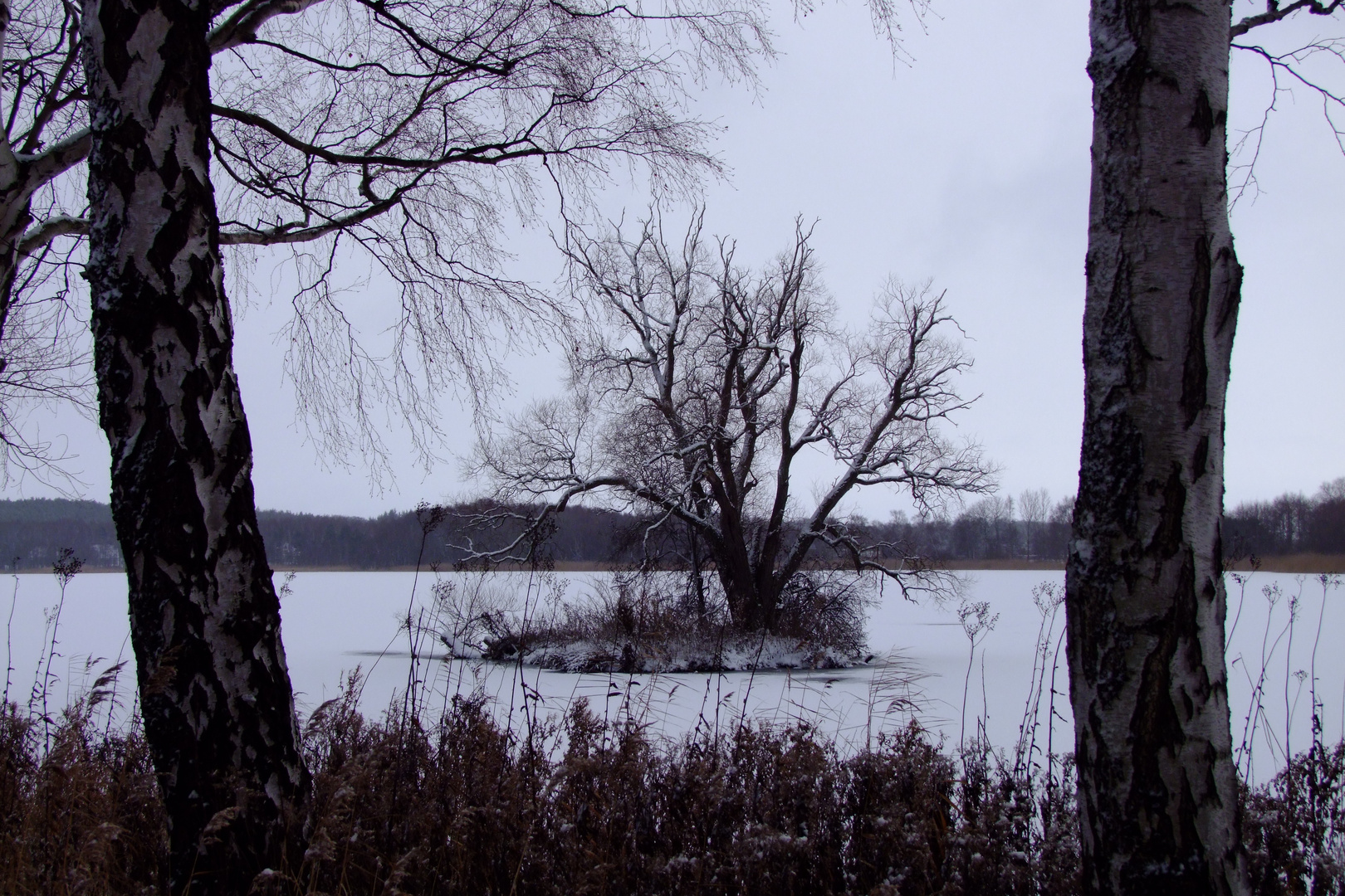 Jahresanfang in Kölpinsee/Usedom