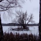 Jahresanfang in Kölpinsee/Usedom