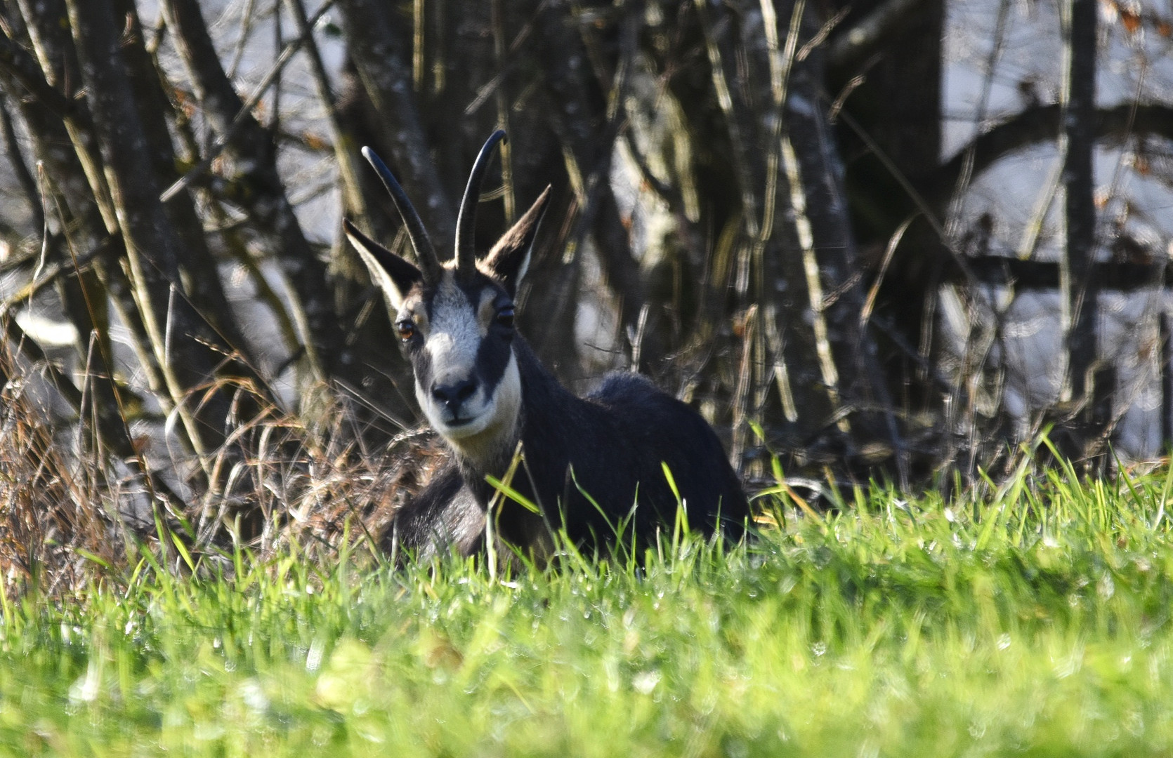 Jahresausklang im Jura