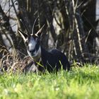 Jahresausklang im Jura