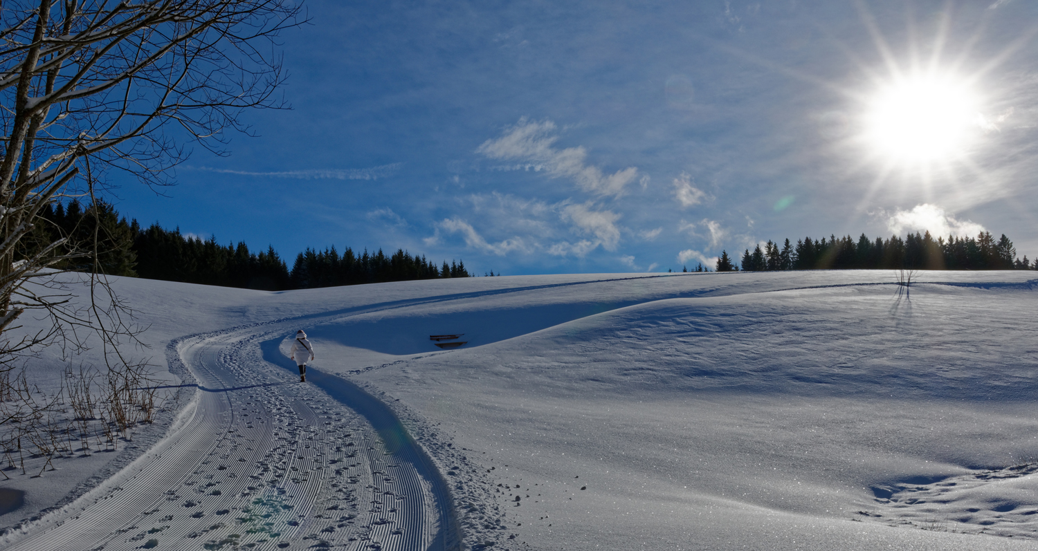 Jahresausklang im Schwarzwald