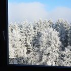 Jahresbeginn: Blick aus dem Fenster 1.1.17