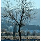 Jahresbeginn im Erlauftal