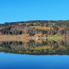 Jahresende am Großen Alpsee