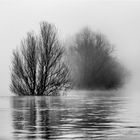 Jahresendhochwasser