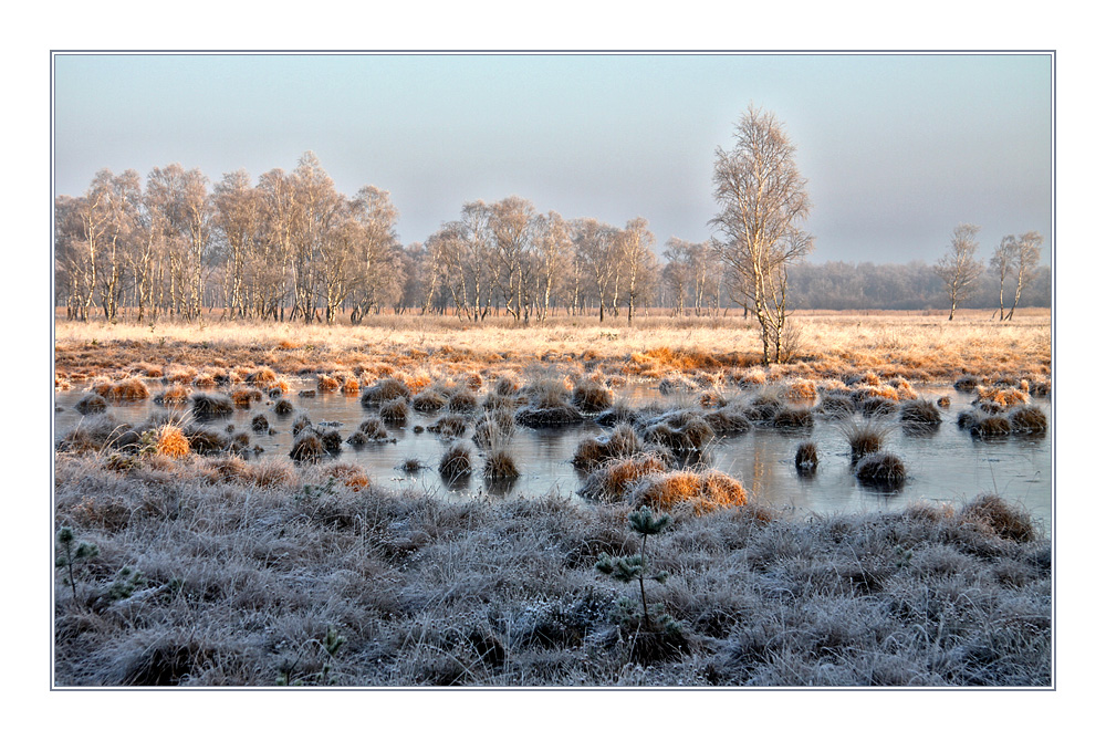 Jahresendstimmung im Duvenstedter Brook