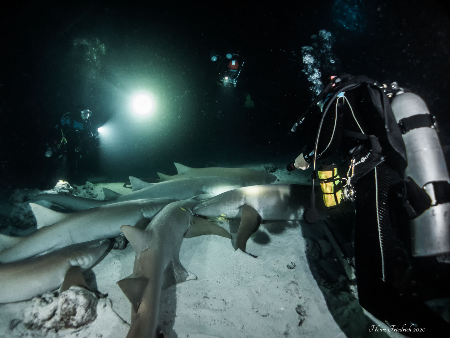 Jahreshauptversammlung