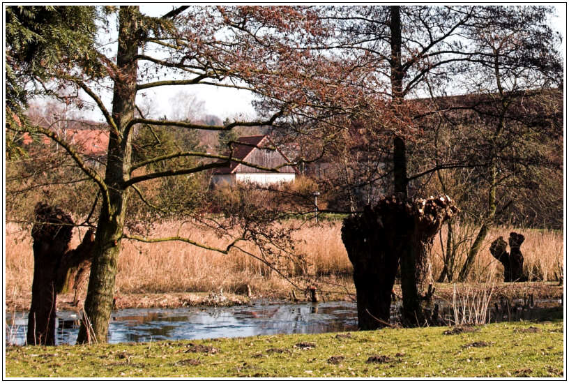 Jahresrückblick 2005/1