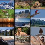 Jahresrückblick 2011