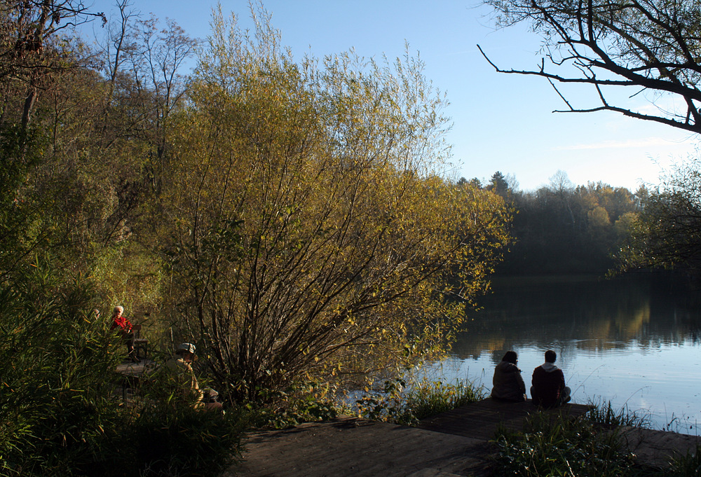 Jahresrückblick 2013: November