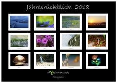 Jahresrückblick 2018