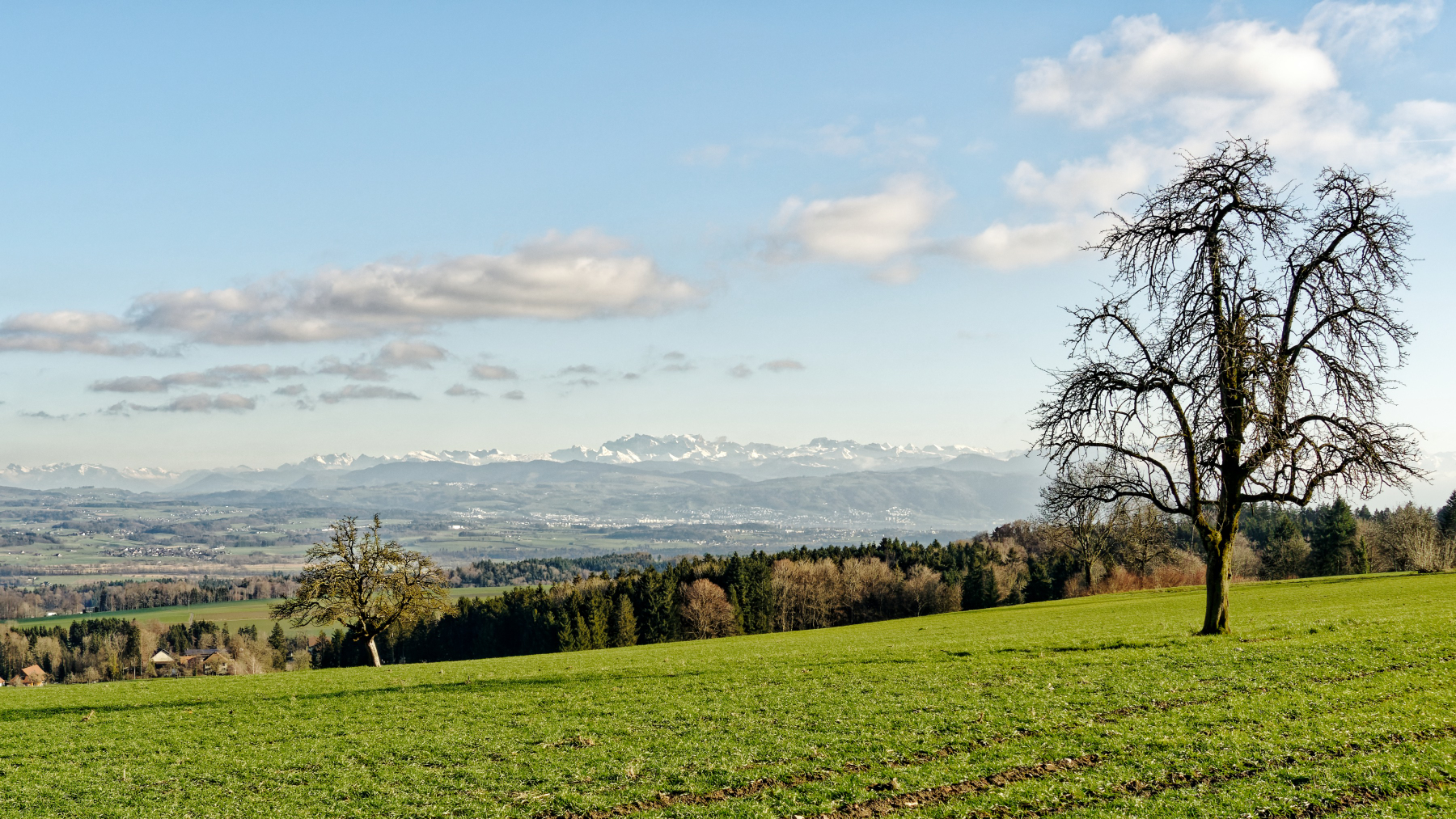 Jahresrückblick 2020 - 5. Januar