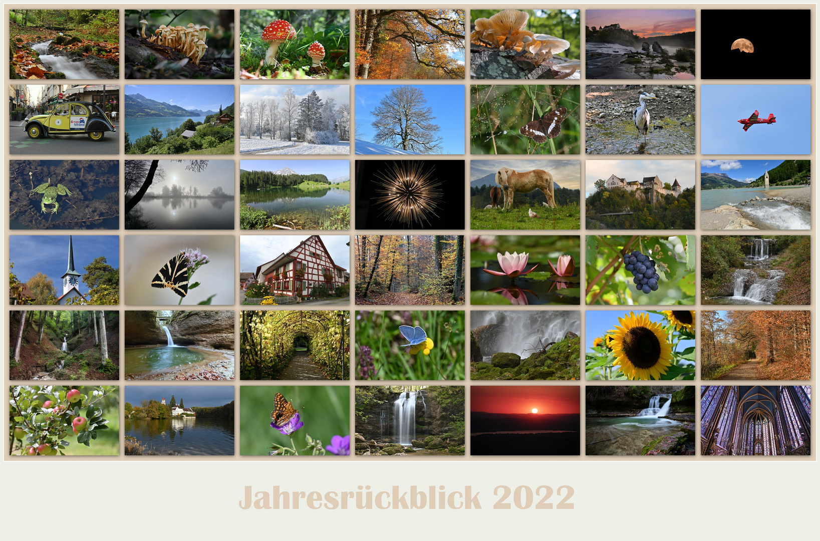 Jahresrückblick 2022