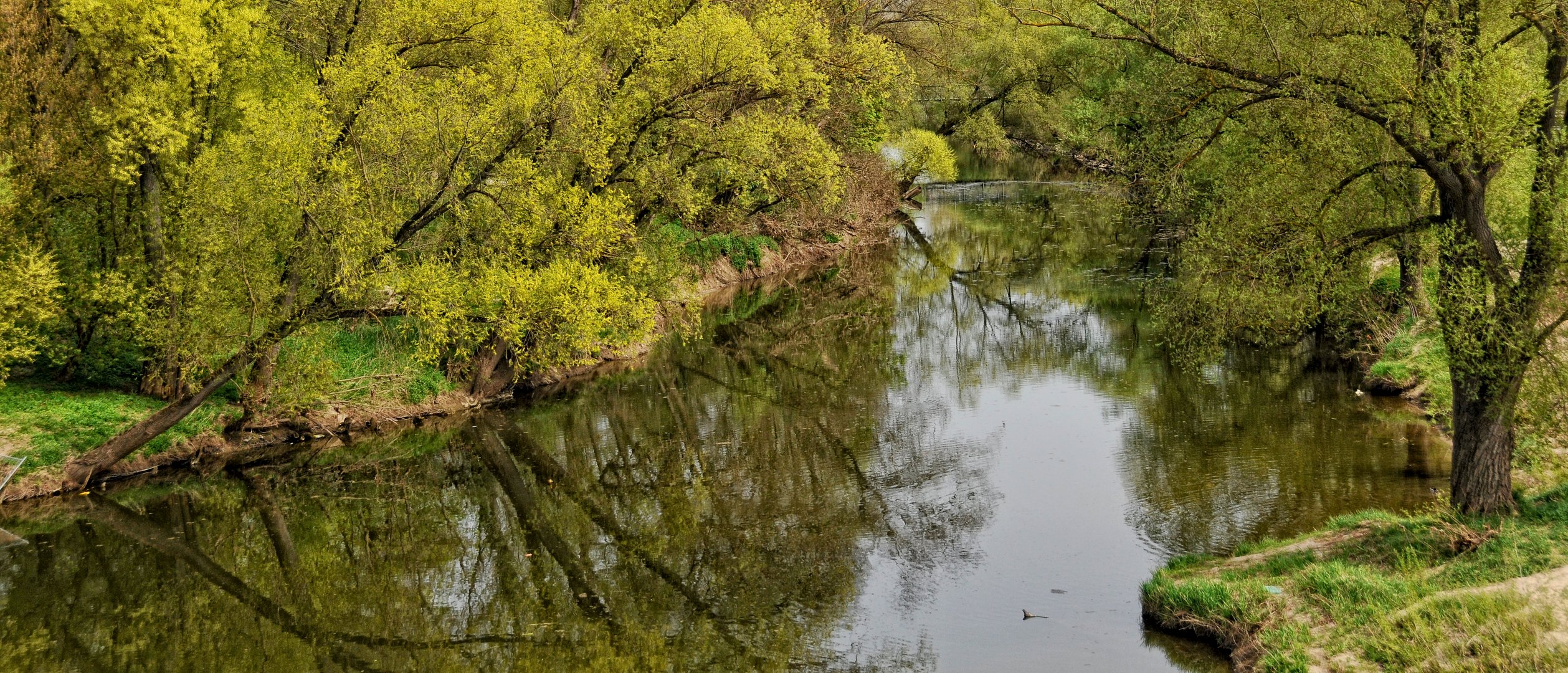 JAHRESRÜCKBLICK .....April 2011