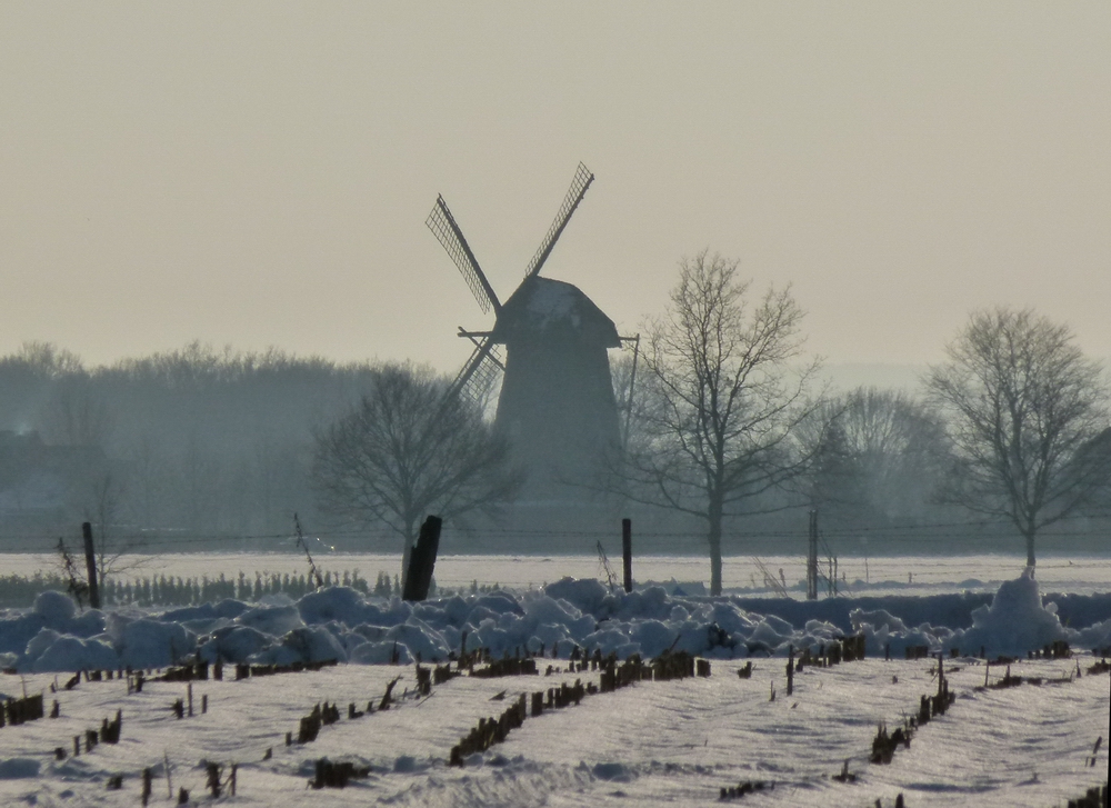 Jahresrückblick Januar 2011 - 01