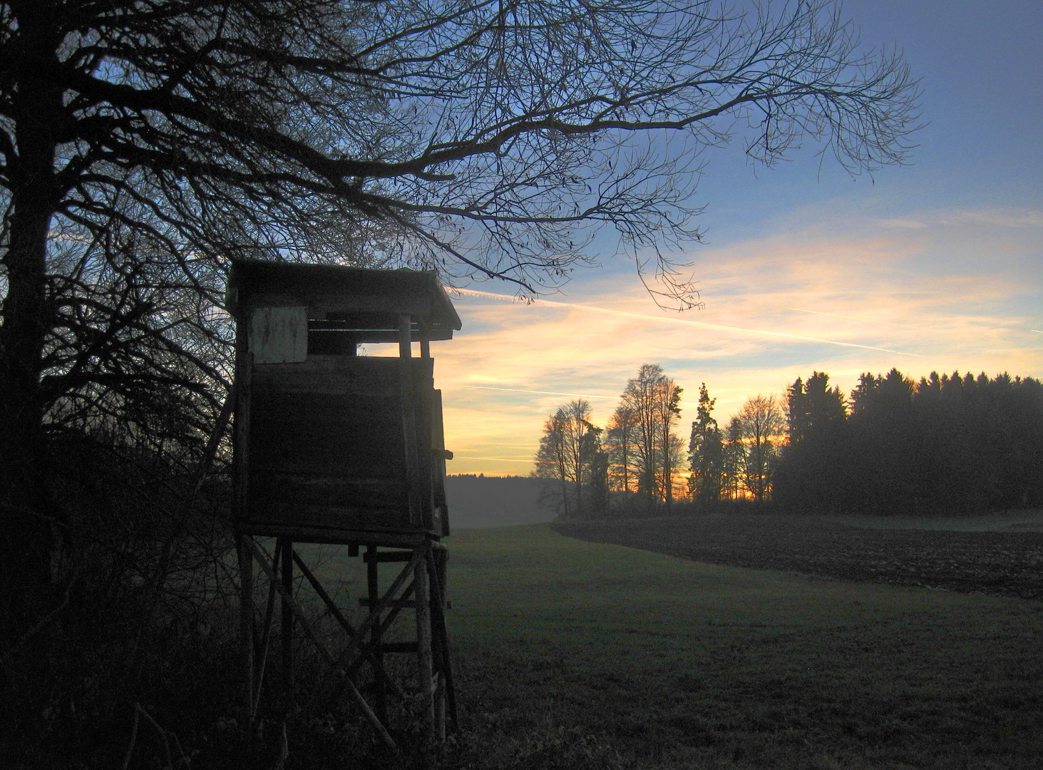 Jahresrückblick - November