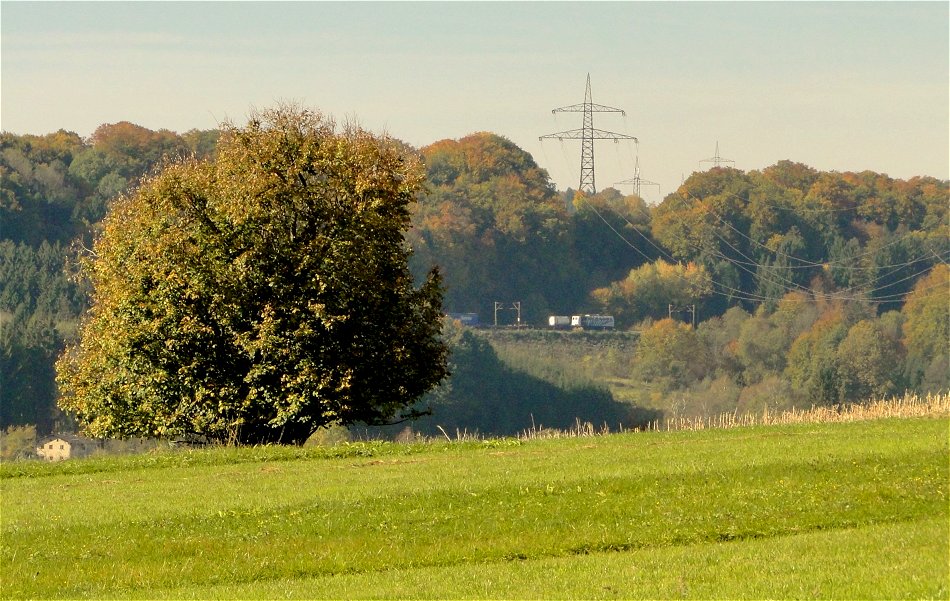 Jahresrückblick VIII - Entdeckung des Jahres