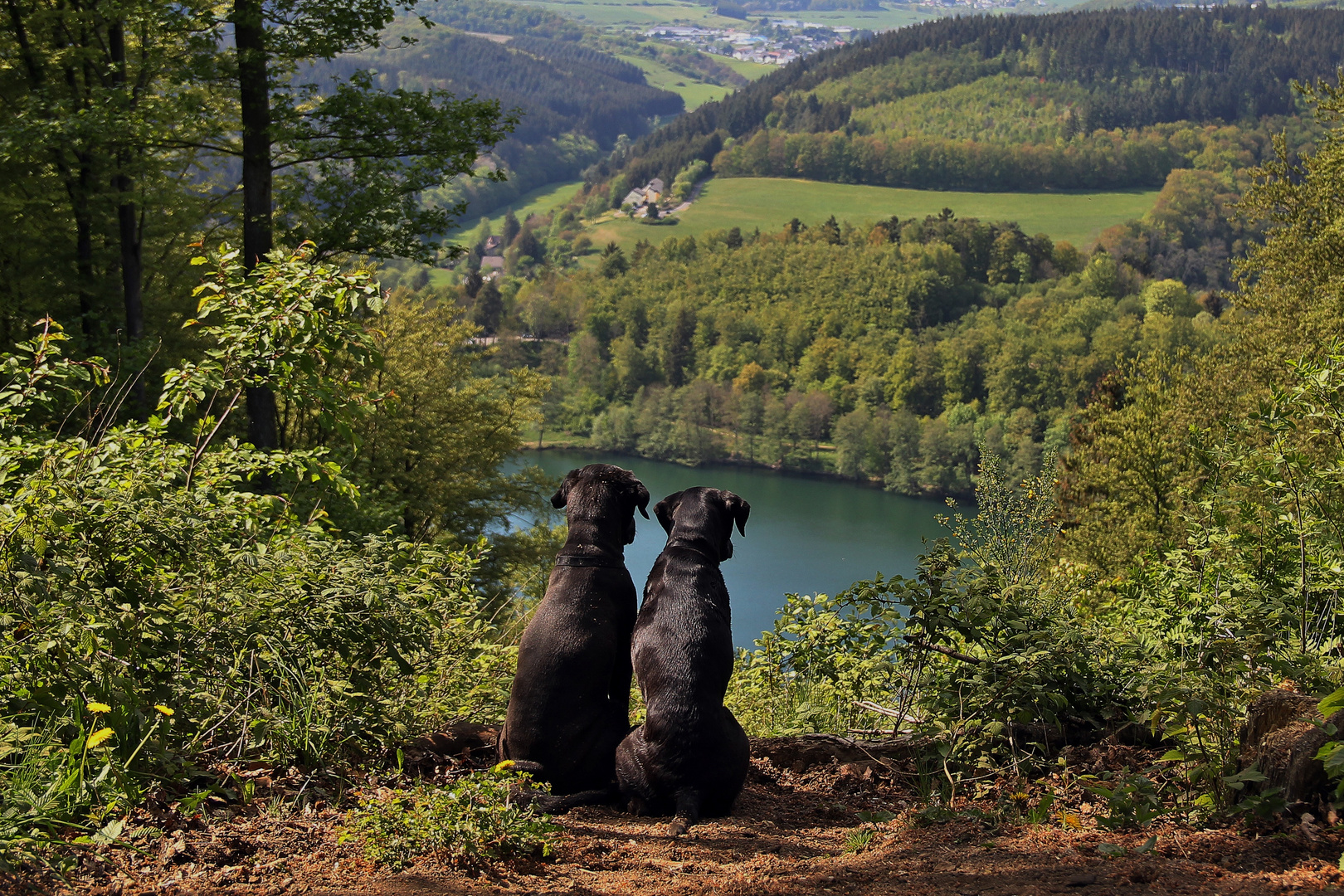 Jahrestag