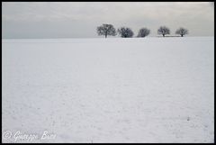 Jahreszeit, die vierte.