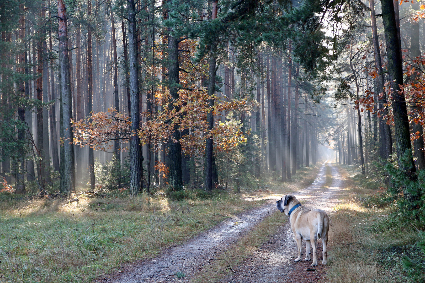 Jahreszeit zwischen Sommer und Winter