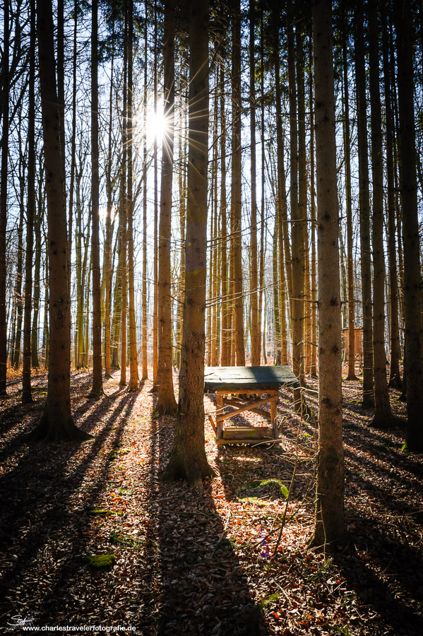 Jahreszeiten [05] – Tiefstehende Sonne