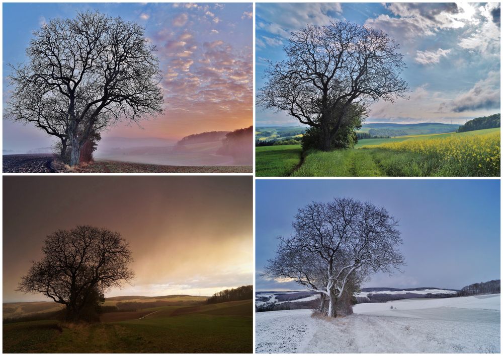 Jahreszeiten Foto & Bild jahreszeiten, natur, landschaft Bilder auf