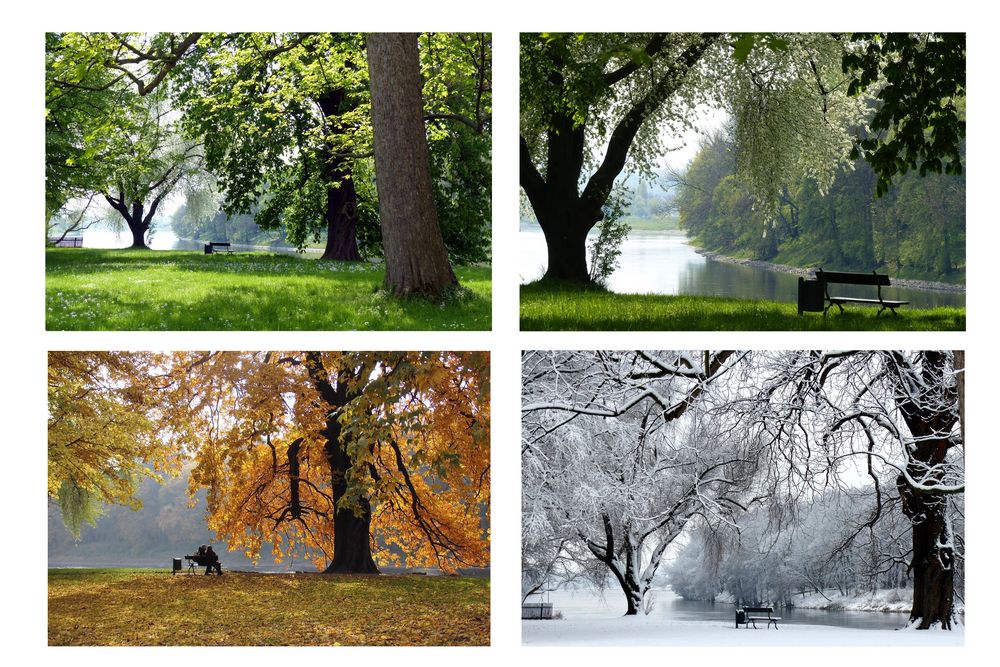 Jahreszeiten Foto & Bild | landschaft, natur, pflanzen Bilder auf