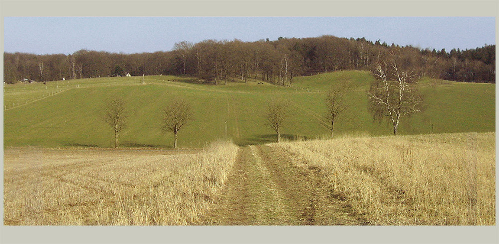 Jahreszeiten-Serie: Am Eichenhain, Kiekeberg, Landkreis Rosengarten im Erstfrühling